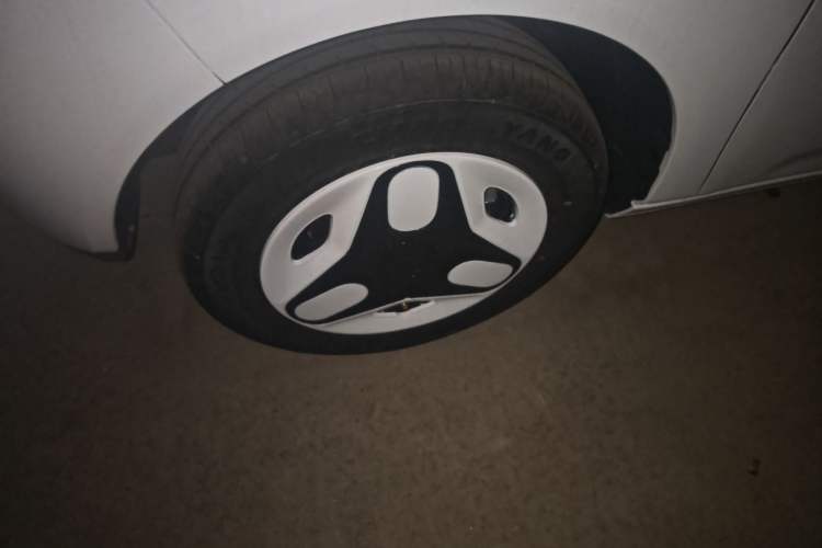 Used  Panda 2025 210 km – Yuanqi Bear
