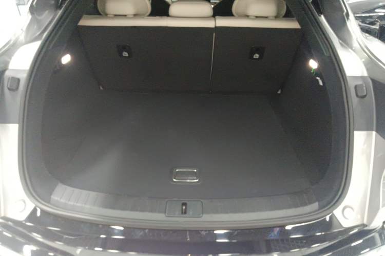 Used  YU7 2025 Ultra-Long Range Rear-Wheel Drive Version
