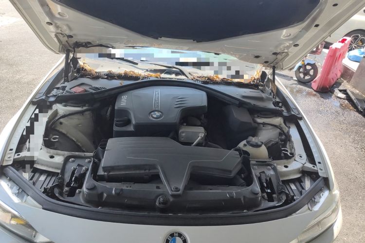 Used BMW 3 Series 2015 320i Fashion Model
