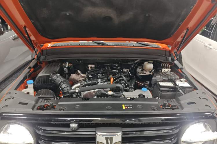 Used Tank 300 2024 2.0T Conqueror
