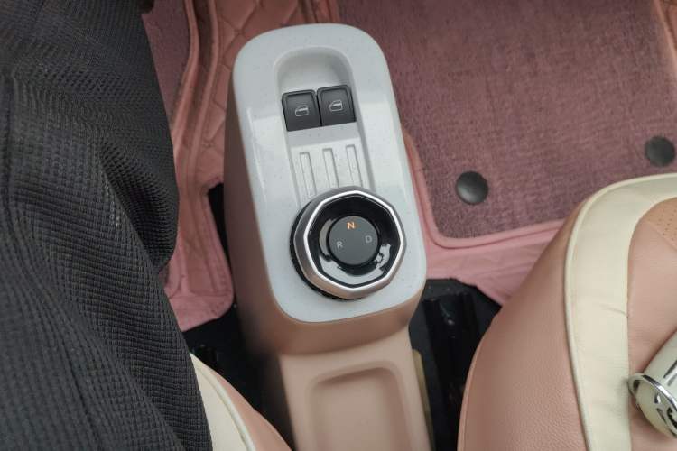 Used  Panda 2023 Panda Mini 200km Endurance Bear
