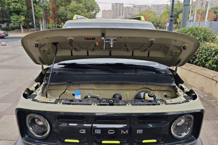 Used  Panda 2025 210km Panda Rider
