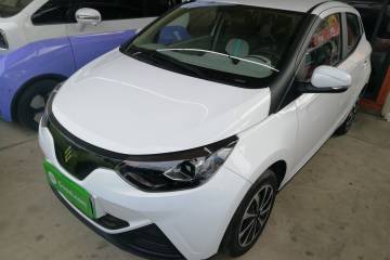 Used JMEV Xiao Qilin 2024 201km Comfort Version