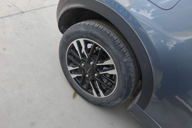 Used Chery Little Ant 2023 251km True Love Edition Lithium Iron Phosphate