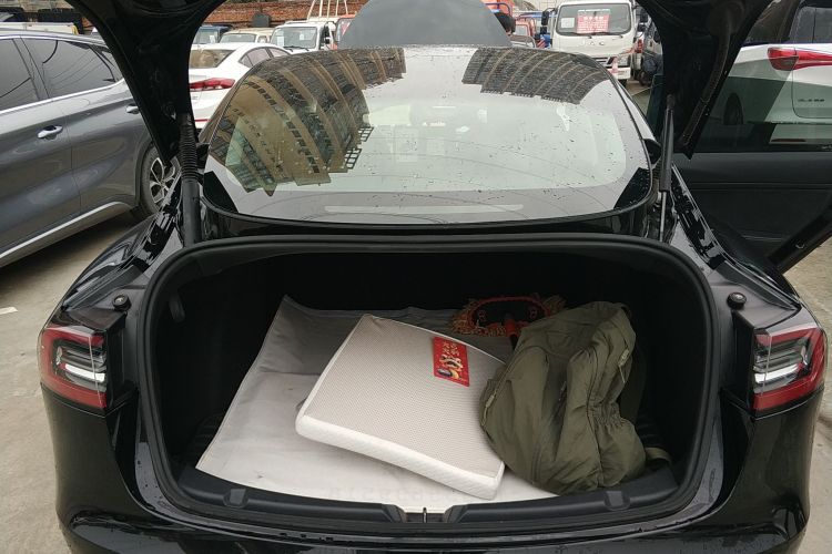 Used Tesla Model 3 2021 Standard Range Rear-Wheel Drive Upgraded Version 3D6