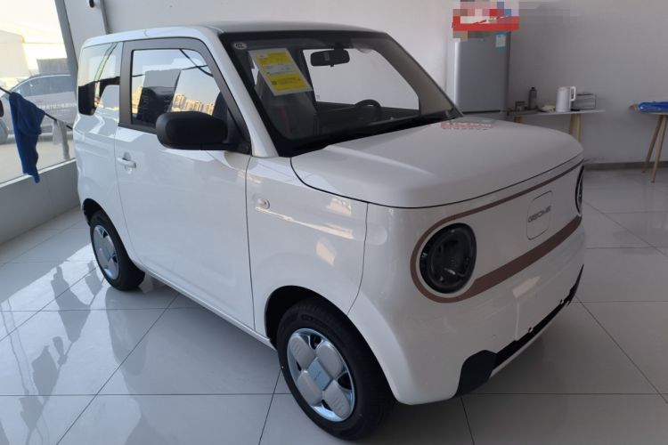 Used  Panda 2024 Panda Mini 200km Endurance Bear
