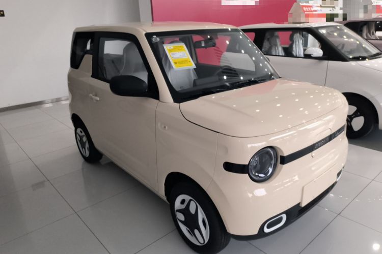 Used  Panda 2025 210 km – Yuanqi Bear
