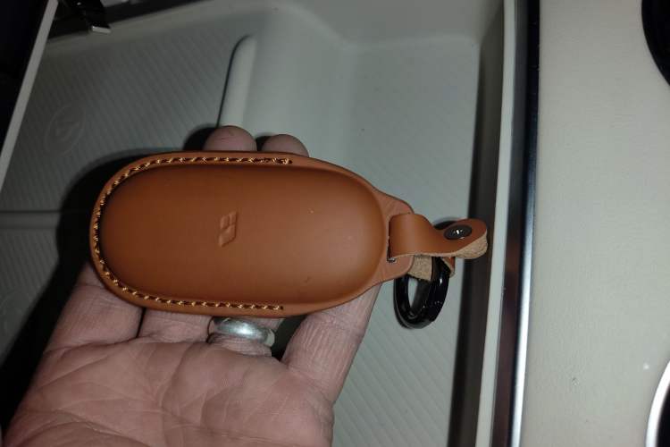 Used Li Auto L8 2024 Max
