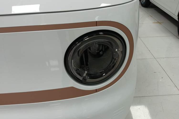 Used  Panda 2024 Panda Mini 200km Endurance Bear
