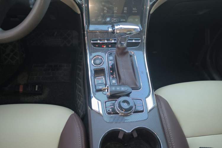 Used Leopaard CS9 2018 1.5T CVT Jingrui Model
