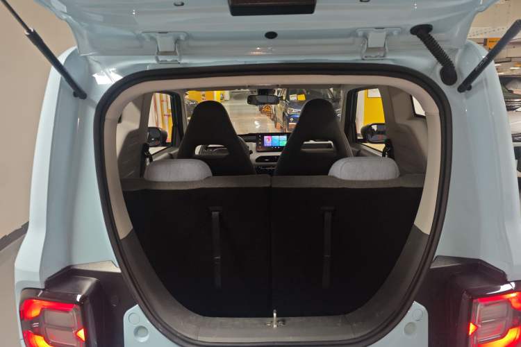 Used  Panda 2023 Panda Mini 200km Endurance Bear