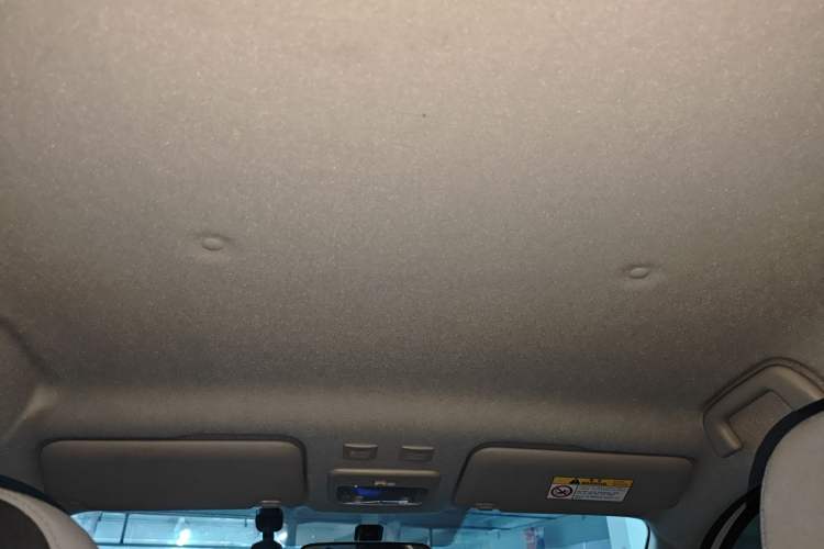 Used ORA Black Cat 2021 301 km Basic Version