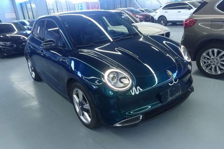 Used ORA Good Cat 2022 400km Standard Range Luxury Version Lithium Iron Phosphate
