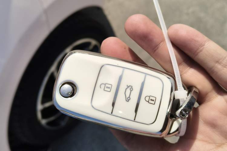 Used Oshan Benni E-Star 2021 National Edition Colorful Version Lithium Iron Phosphate (31.86 kWh)
