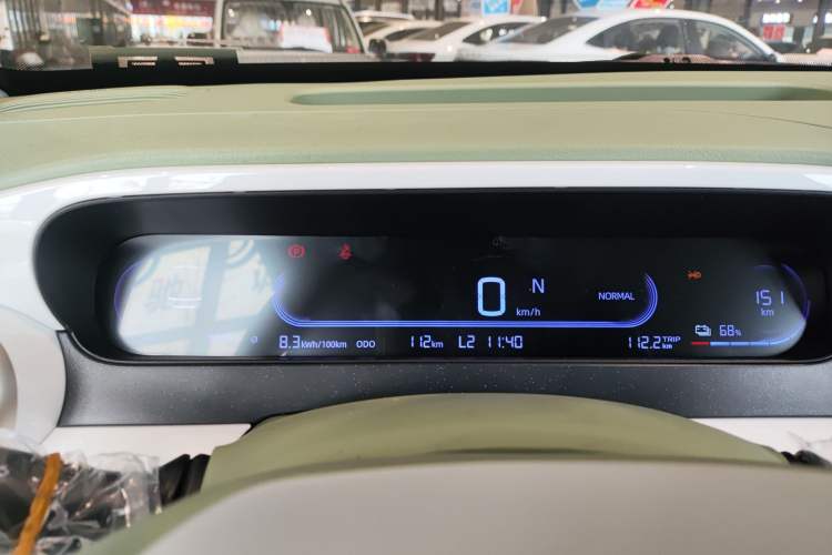 Used  Panda 2025 210 km – Yuanqi Bear
