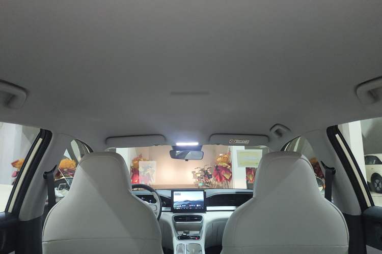 Used  Geome 2025 310km Youth Edition
