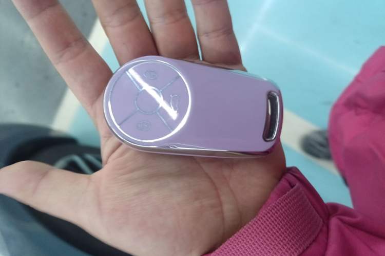 Used ORA Lightning Cat 2022 555 km Luxury Edition
