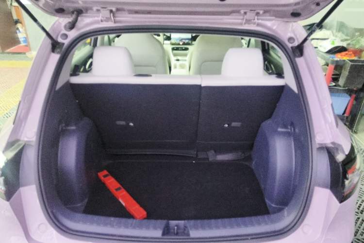 Used  Geome 2025 310km Youth Edition