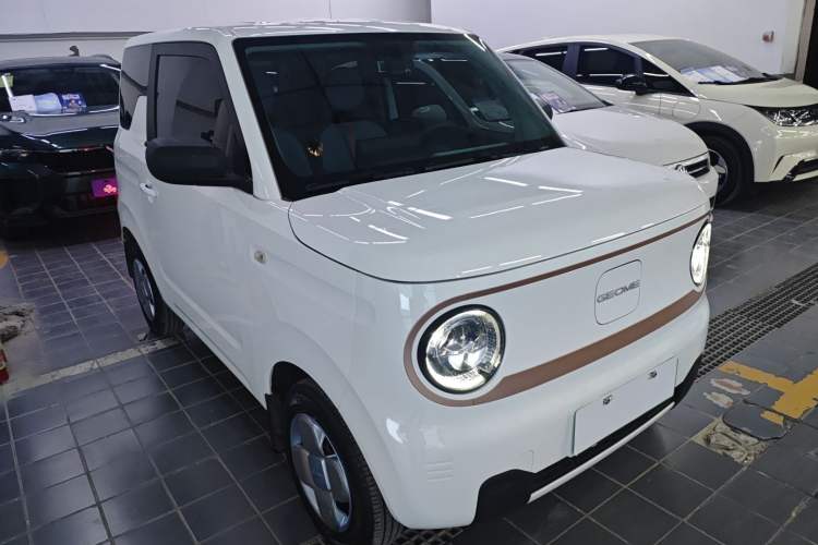 Used  Panda 2023 Panda Mini 200km Endurance Bear