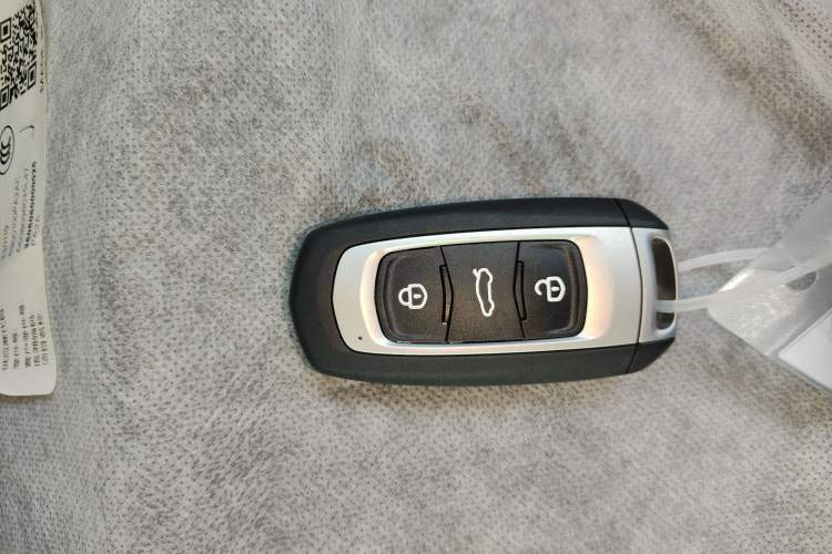 Used  Panda 2024 Panda Mini 200km Endurance Bear
