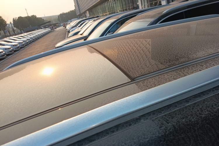 Used Hongqi E-HS9 2021 460 km Range Flagship Edition Six-Seater
