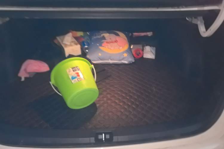 Used Toyota Levin 2019 185T CVT Luxury Edition China VI Standard
