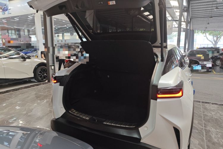 Used Lexus RZ 2023 450e All-Wheel Drive Luxury Edition