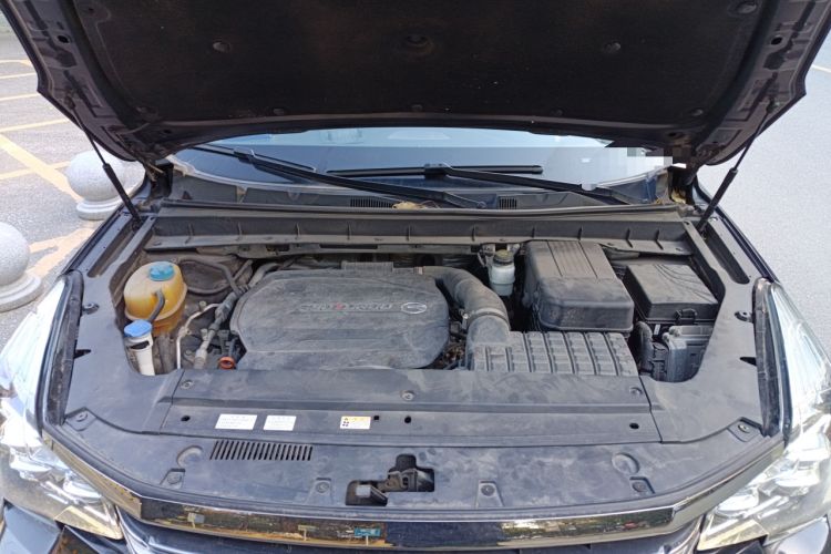 Used GAC Trumpchi GS8 2020 390T Two-Wheel Drive Luxury Smart Connectivity Version (7 Seats)