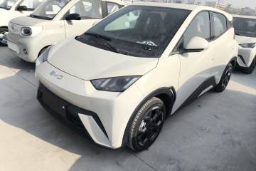 Used BYD Seagull 2025 405 km Flying Edition