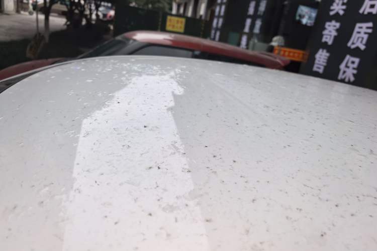 Used Oshan Benni E-Star 2021 National Edition Colorful Version Lithium Iron Phosphate (31.86 kWh)
