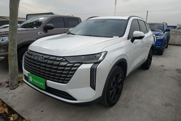 Used Haval H6 2024 1.5T Two-Wheel Drive Pro