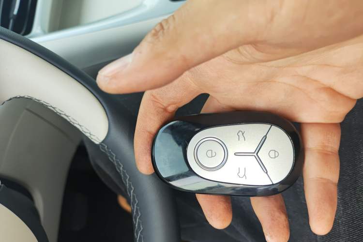 Used  Geome 2025 410 km Free Version