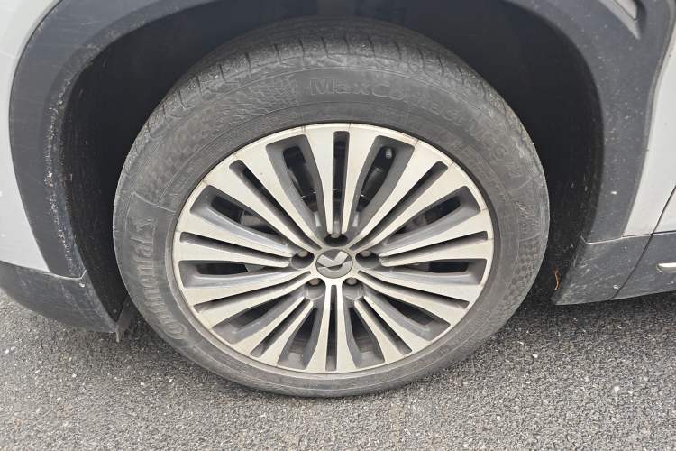 Used Nio EC6 2020 440 km Performance Version
