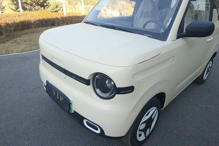 Used  Panda 2025 210 km – Yuanqi Bear
