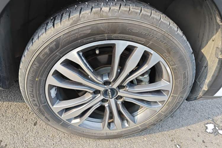 Used Haval F7 2021 2.0T Two-Wheel Drive i-Van
