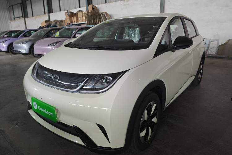Used BYD Dolphin 2025 420km Free Edition