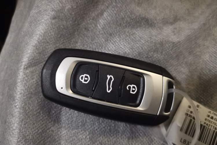 Used  Panda 2024 Panda Mini 200km Endurance Bear
