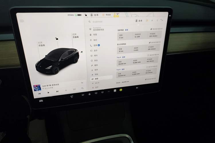 Used Tesla Model Y 2021 Standard Range Rear-Wheel Drive Version
