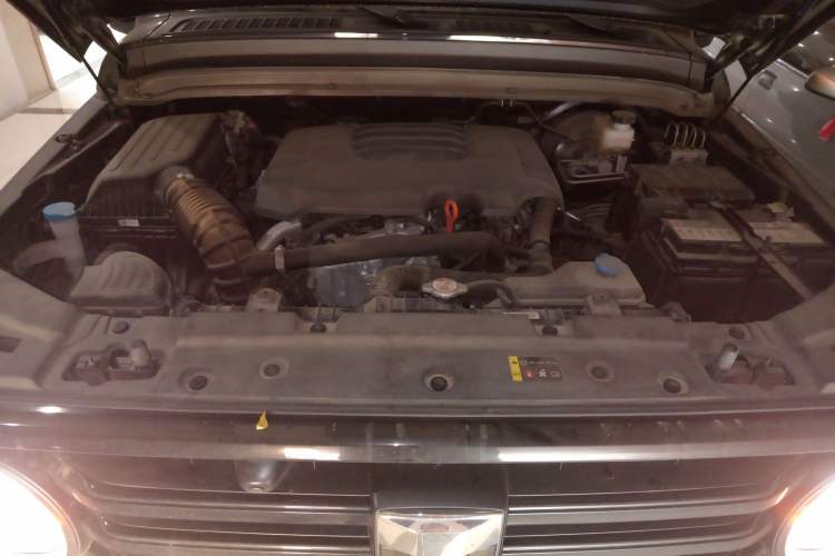 Used Tank 300 2023 Off-Road Edition 2.0T Challenger
