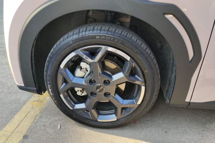 Used BYD Seagull 2024 Honor Edition 305km Freedom Version
