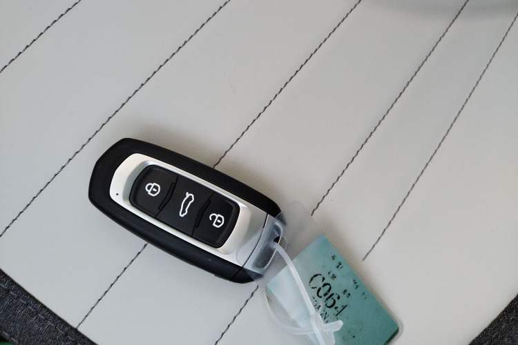 Used  Panda 2025 210km Panda Kart
