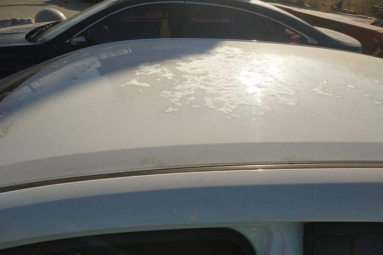 Used Toyota Corolla 2021 TNGA 1.5L CVT Pioneer Edition
