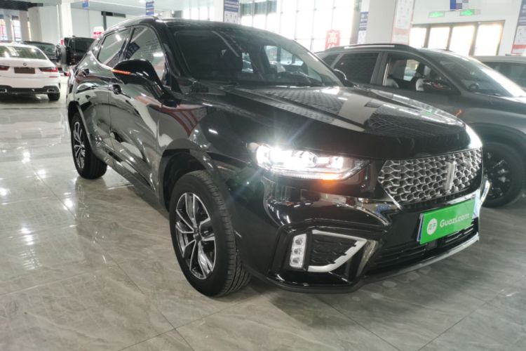 Used Wey VV5 2021 1.5T Two-Wheel Drive Color Pioneer
