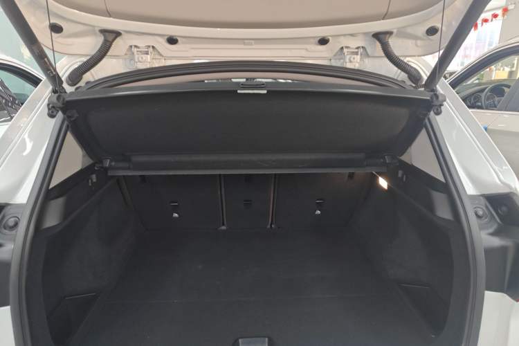 Used BMW X1 2020 sDrive20Li Premium Edition