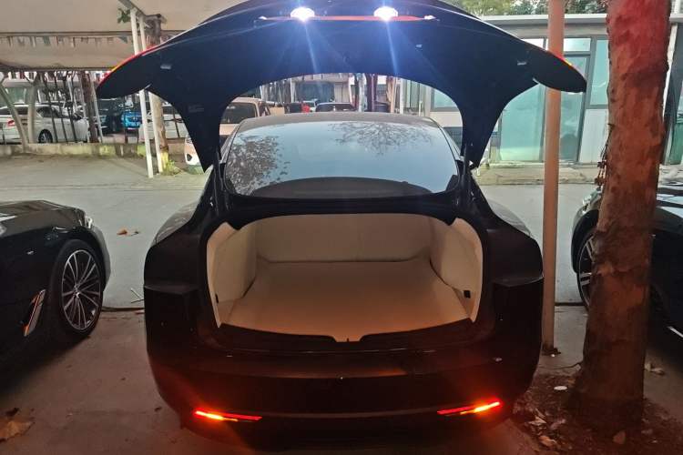 Used Tesla Model 3 2023 Long-Range All-Wheel-Drive Version
