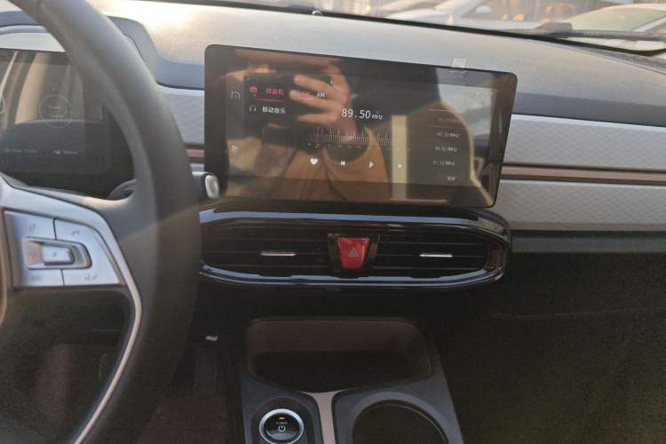 Used SOL E10X 2022 Flower Fairy Design Dandelion