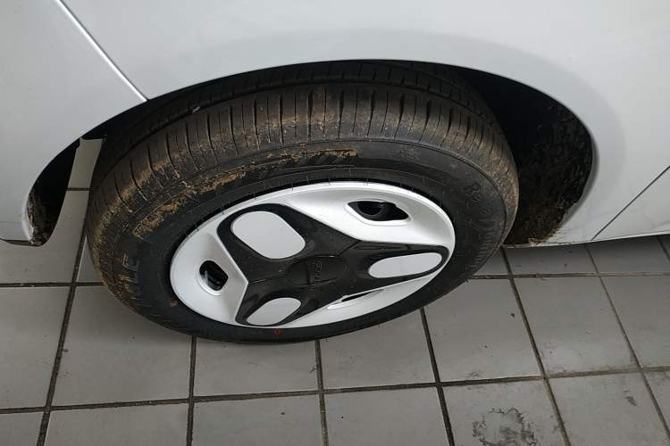 Used  Panda 2025 210 km – Yuanqi Bear
