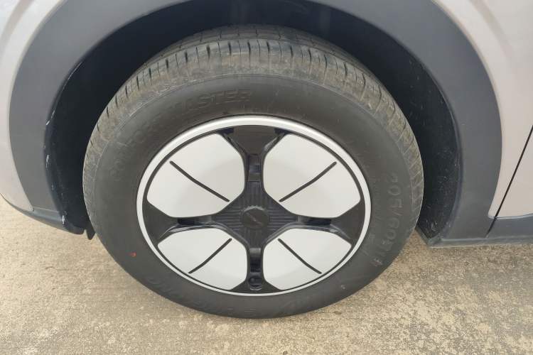 Used  Geome 2025 310km Youth Edition
