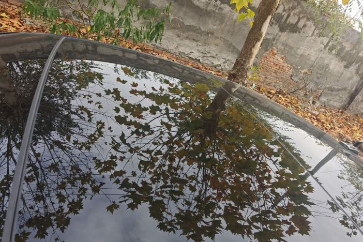 Used Audi A6L 2022 40 TFSI Luxury Prestige Edition
