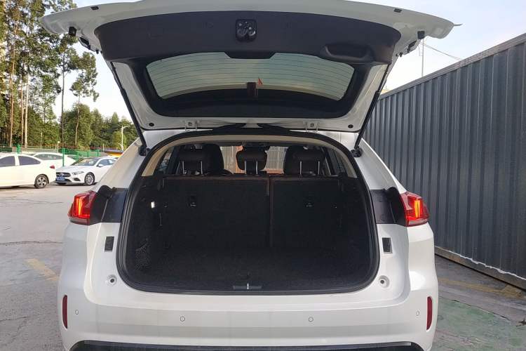 Used Wey VV5 2019 1.5T Two-Wheel Drive Color Pioneer
